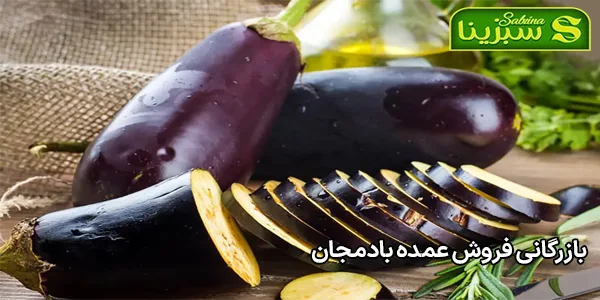بازرگانی فروش عمده بادمجان بازرگانی فروش عمده بادمجان