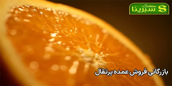 بازرگانی فروش عمده پرتقال بازرگانی فروش عمده پرتقال