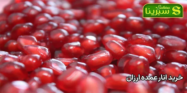 خرید انار عمده ارزان خرید انار عمده ارزان