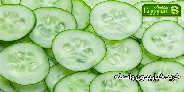 خرید خیار بدون واسطه خرید خیار بدون واسطه