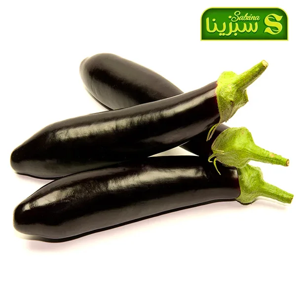 خرید عمده بادمجان تصویر 4