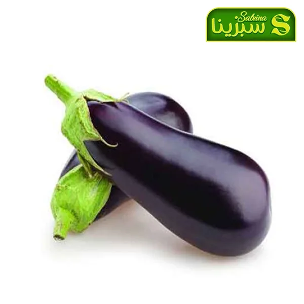 خرید عمده بادمجان