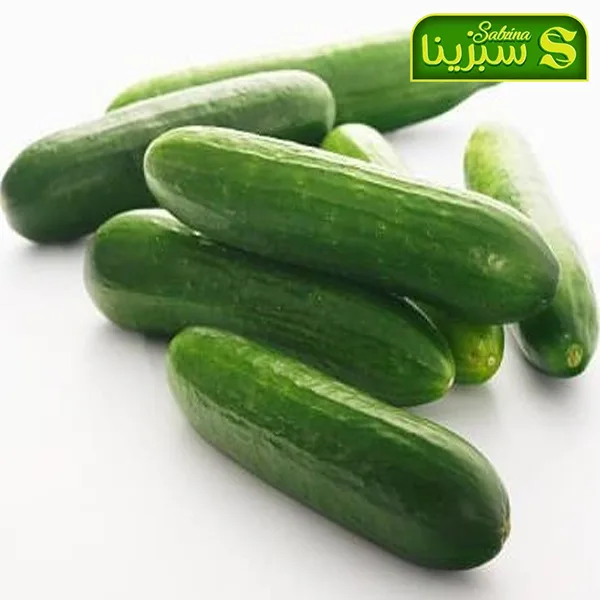 خرید عمده خیار 1