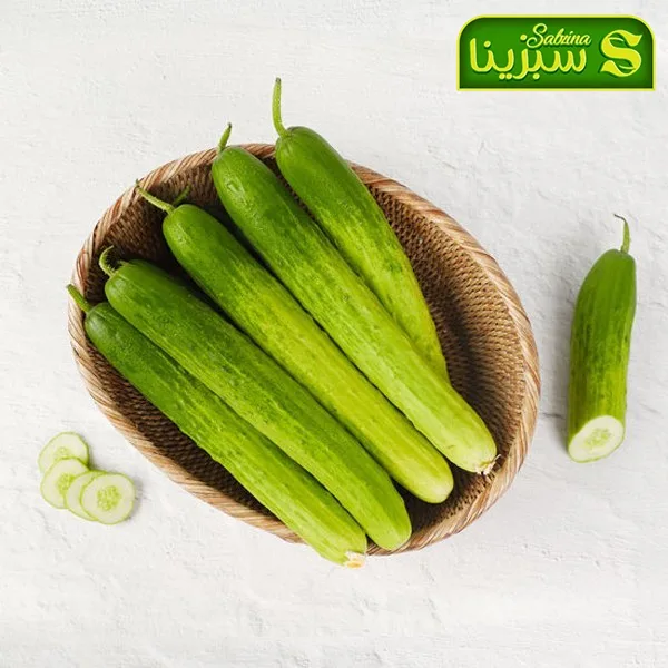 خرید عمده خیار تصویر 3