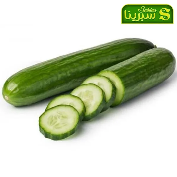 خرید عمده خیار