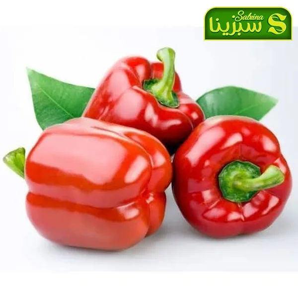 قیمت و خرید عمده فلفل دلمه ای تصویر 4