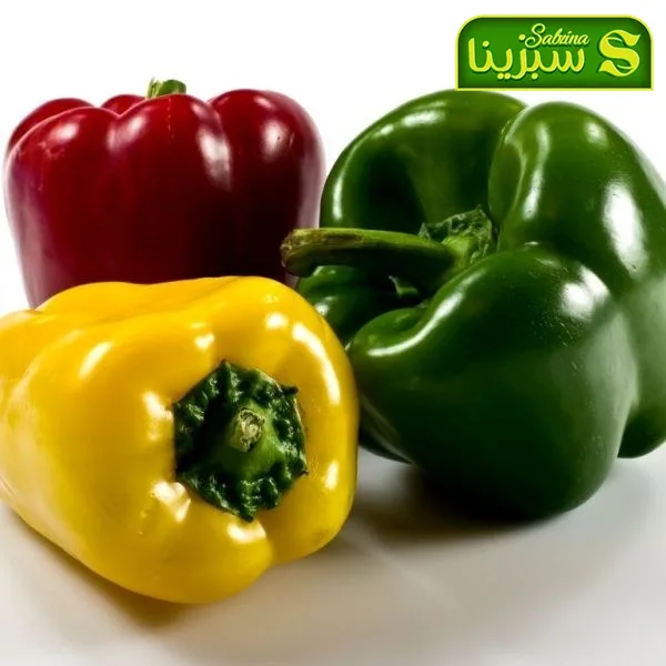 خرید عمده فلفل دلمه ای