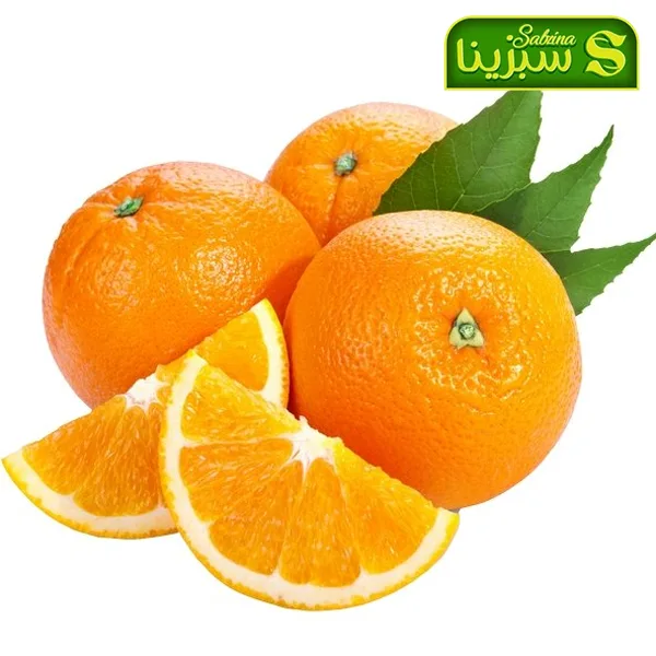 خرید عمده پرتقال 3