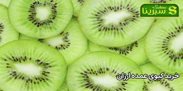 خرید کیوی عمده ارزان خرید کیوی عمده ارزان