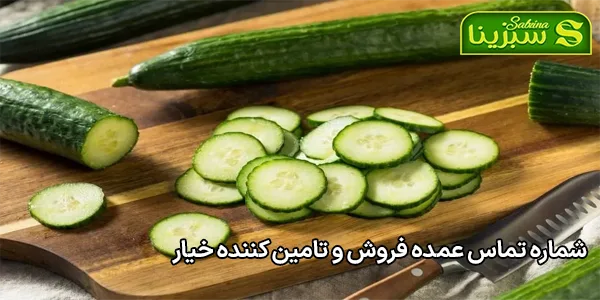 شماره تماس عمده فروش و تامین کننده خیار شماره تماس عمده فروش و تامین کننده خیار
