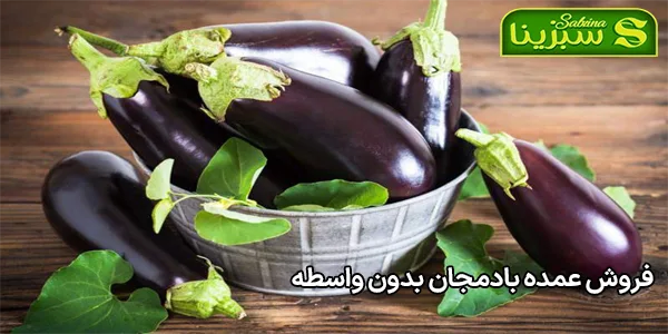 فروش عمده بادمجان بدون واسطه فروش عمده بادمجان بدون واسطه