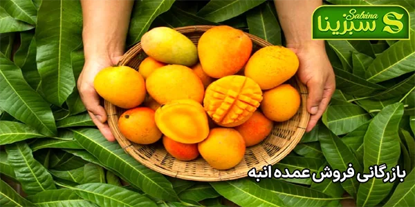بازرگانی فروش عمده انبه بازرگانی فروش عمده انبه
