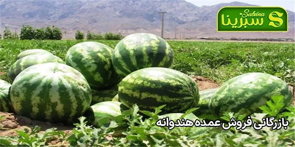 بازرگانی فروش عمده هندوانه بازرگانی فروش عمده هندوانه