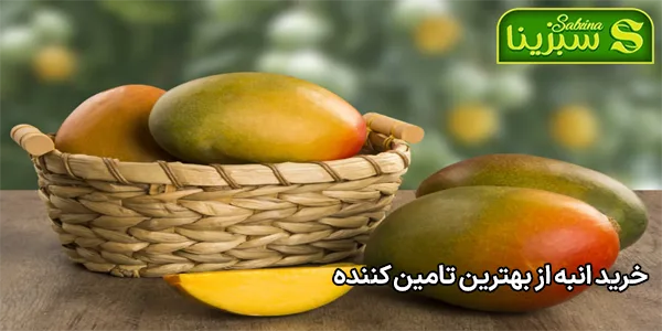 خرید انبه از بهترین تامین کننده خرید انبه از بهترین تامین کننده