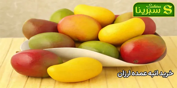 خرید انبه عمده ارزان خرید انبه عمده ارزان