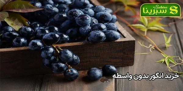 خرید انگور بدون واسطه خرید انگور بدون واسطه
