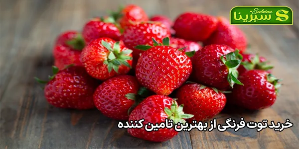 خرید توت فرنگی از بهترین تامین کننده خرید توت فرنگی از بهترین تامین کننده