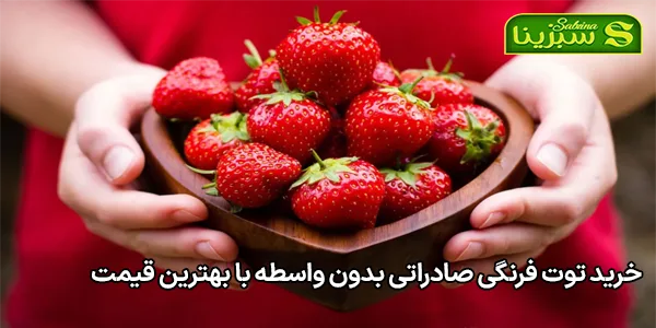 خرید توت فرنگی صادراتی بدون واسطه با بهترین قیمت خرید توت فرنگی صادراتی بدون واسطه با بهترین قیمت