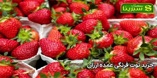 خرید توت فرنگی عمده ارزان خرید توت فرنگی عمده ارزان