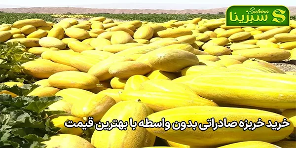 خرید خربزه صادراتی بدون واسطه با بهترین قیمت خرید خربزه صادراتی بدون واسطه با بهترین قیمت
