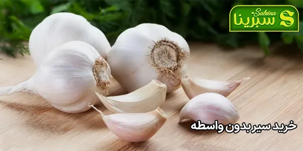 خرید سیر بدون واسطه خرید سیر بدون واسطه