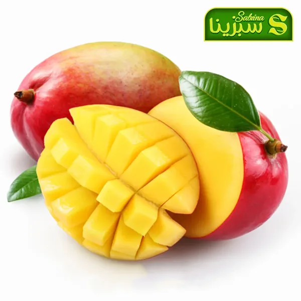 خرید عمده انبه