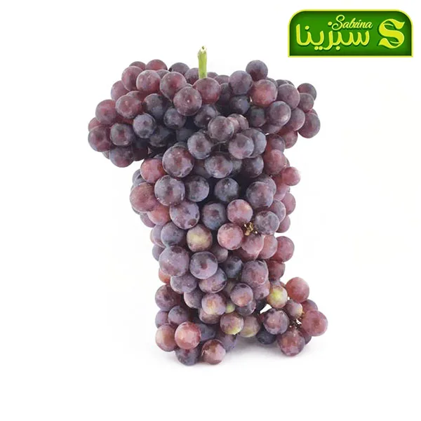 خرید عمده انگور 1