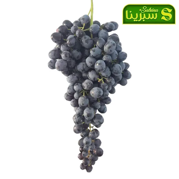 خرید عمده انگور تصویر 3