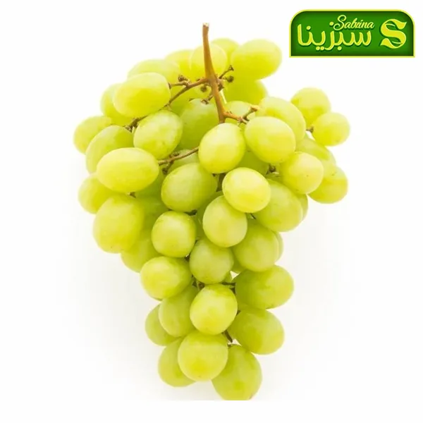 خرید عمده انگور تصویر 4