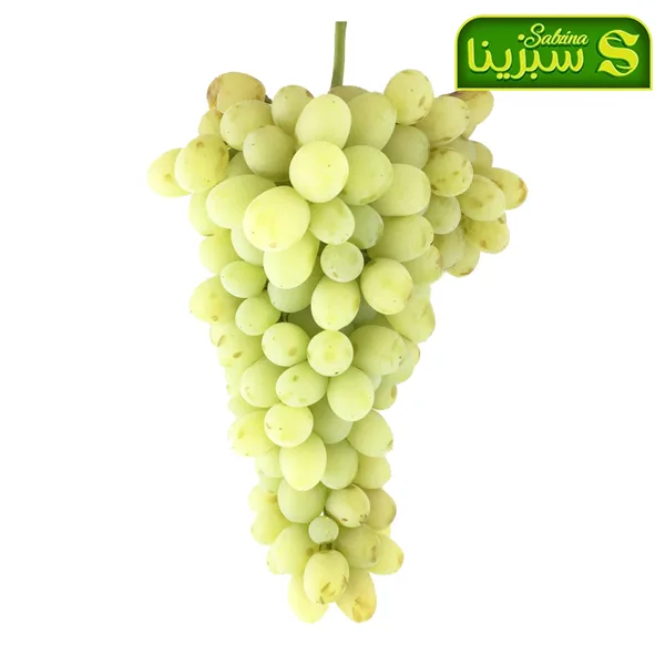 خرید عمده انگور