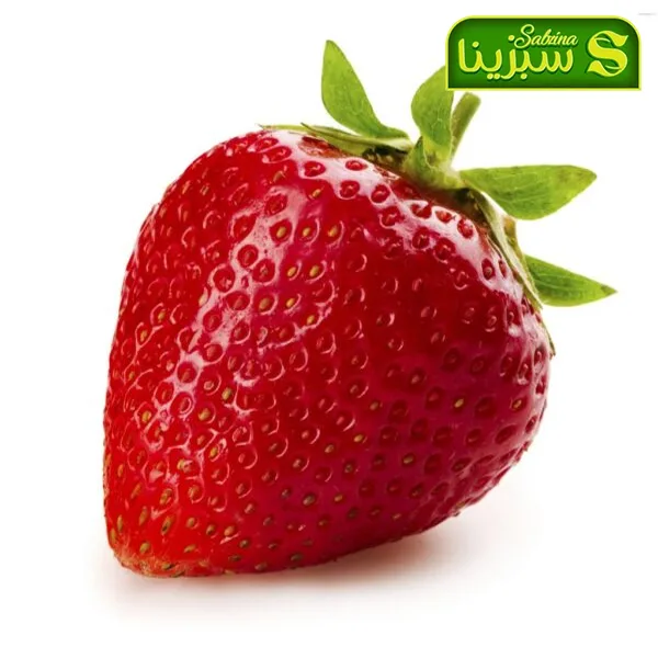 خرید عمده توت فرنگی