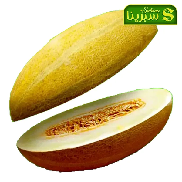 خرید عمده خربزه تصویر 3