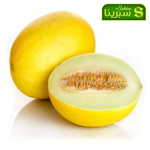 خرید عمده خربزه