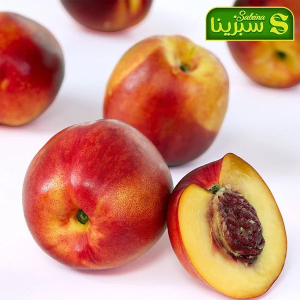 خرید عمده شلیل 3