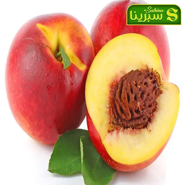خرید عمده شلیل