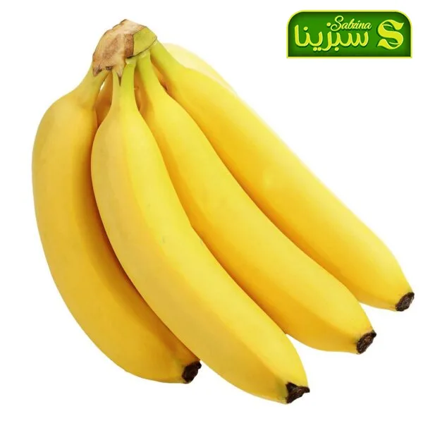 خرید عمده موز 3