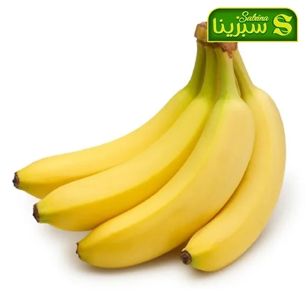 خرید عمده موز