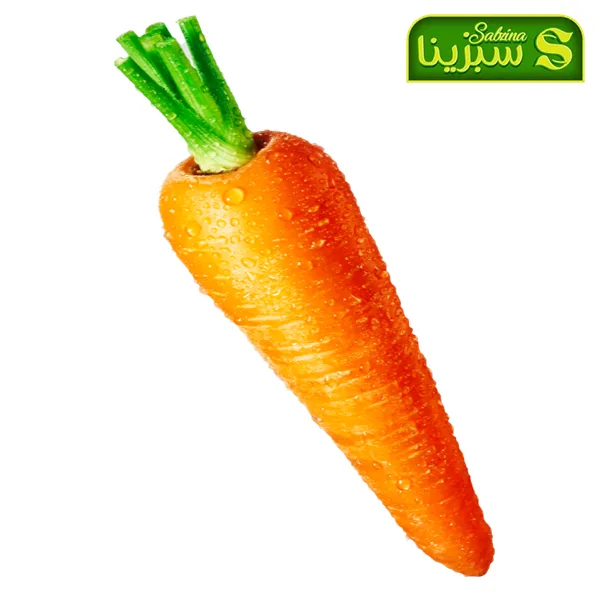 خرید عمده هویج