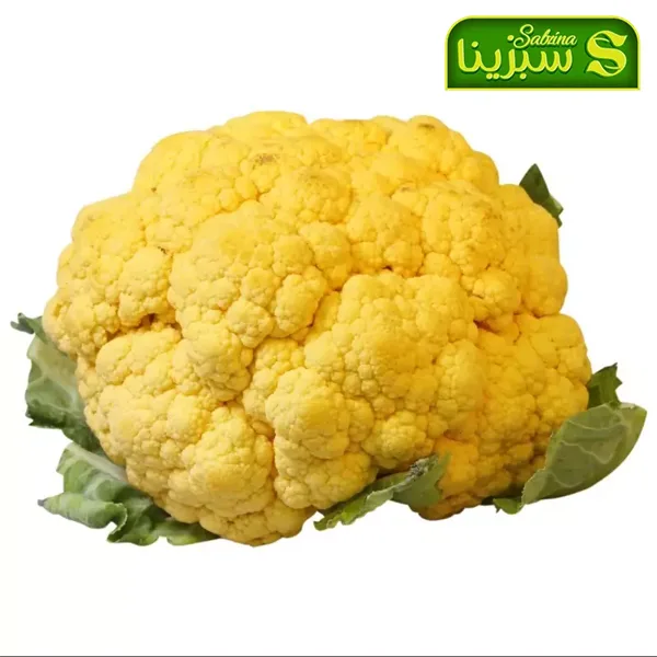 خرید عمده گل کلم تصویر 3