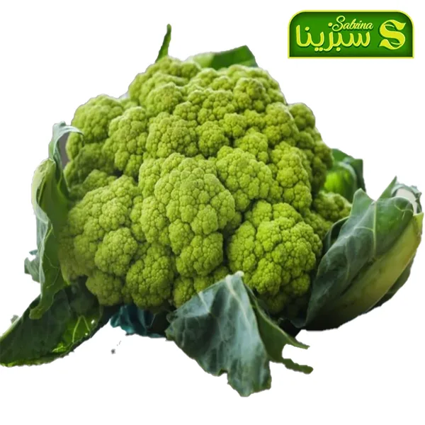 خرید عمده گل کلم 3