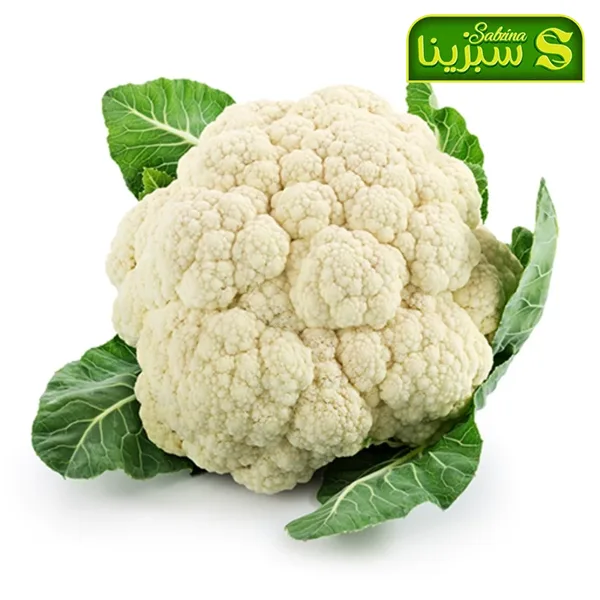 خرید عمده گل کلم