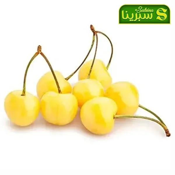 خرید عمده گیلاس 3