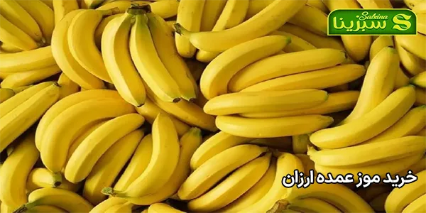 خرید موز عمده ارزان خرید موز عمده ارزان