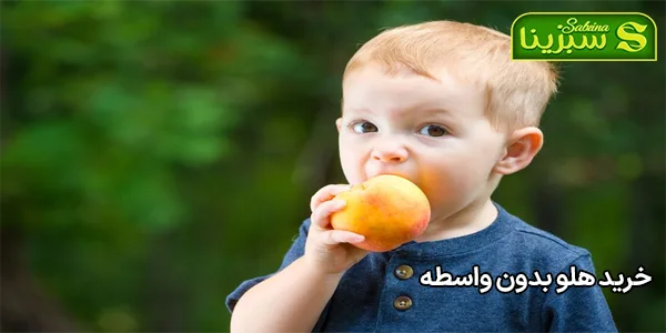 خرید هلو بدون واسطه خرید هلو بدون واسطه