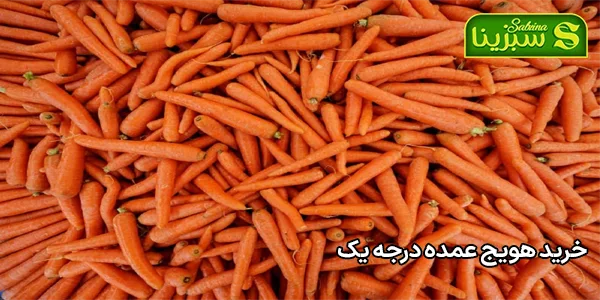 خرید هویج عمده درجه یک خرید هویج عمده درجه یک