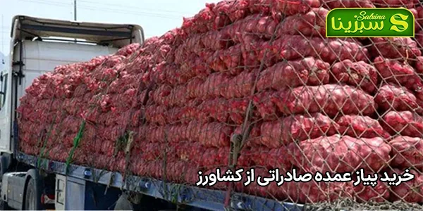 خرید پیاز عمده صادراتی از کشاورز خرید پیاز عمده صادراتی از کشاورز