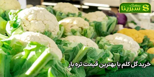 خرید گل کلم با بهترین قیمت تره بار خرید گل کلم با بهترین قیمت تره بار
