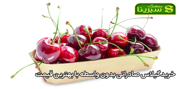 خرید گیلاس صادراتی بدون واسطه با بهترین قیمت خرید گیلاس صادراتی بدون واسطه با بهترین قیمت