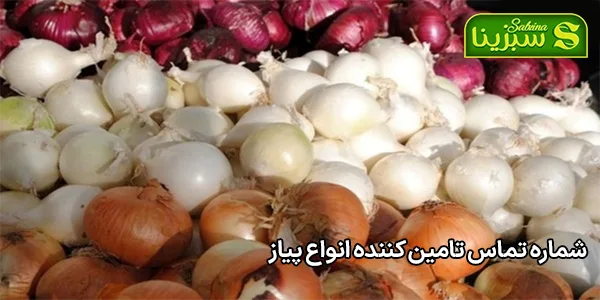 شماره تماس تامین کننده انواع پیاز شماره تماس تامین کننده انواع پیاز