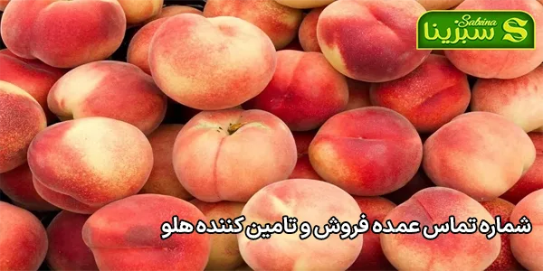 شماره تماس عمده فروش و تامین کننده هلو شماره تماس عمده فروش و تامین کننده هلو